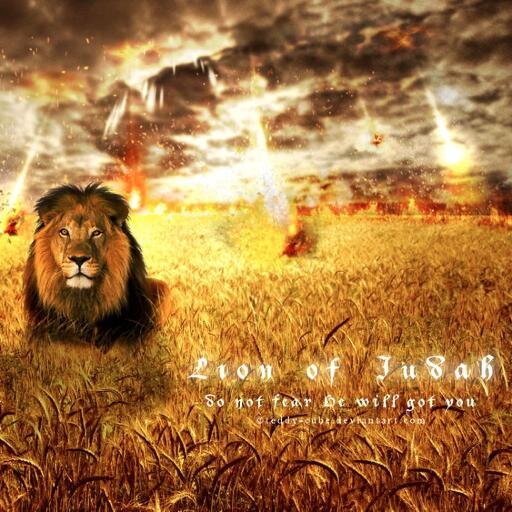 Believer in Christ and what the Bible really teaches. Here O Israel the Lord our God is one