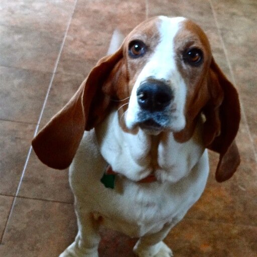 MAC_plus_2's profile picture. Wife, Mother, Sister, Daughter, AND computer nerd all rolled into one cynical package.