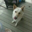 Mack Atkinson - @mackatk - Twitter