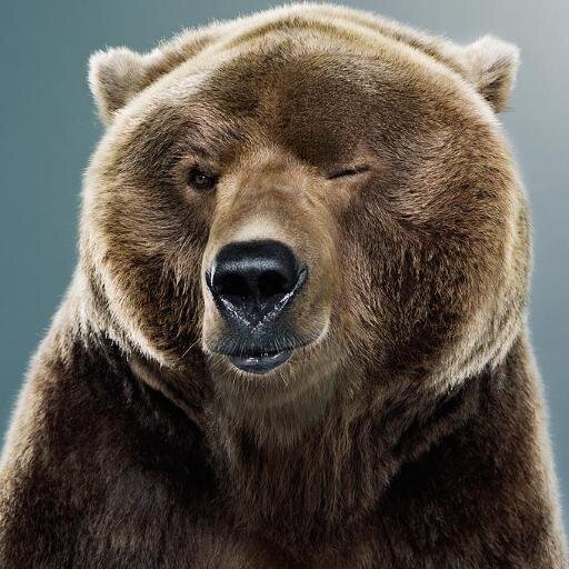 NBA (GRIZZLIES)🏀🏈🏎️