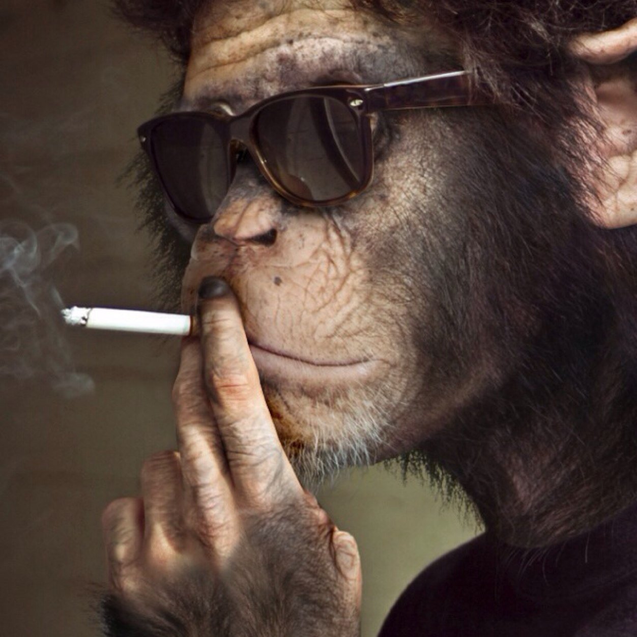 MalwareAttacks's profile picture. 