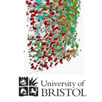 UoBrisPhysPharmNeuro (@uobrisppn) 's Twitter Profile