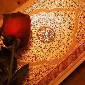 ﷽ (إِنَّا نَحْنُ نَزَّلْنَا الذِّكْرَ وَإِنَّا لَهُ لَحَافِظُونَ) ♥ ღ