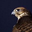 عـــــزآم (@5959Hwydi) Twitter