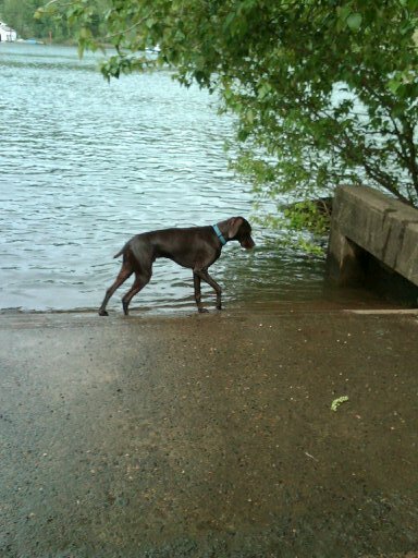 SumHotRod's profile picture. A husband, a father, and a business professional