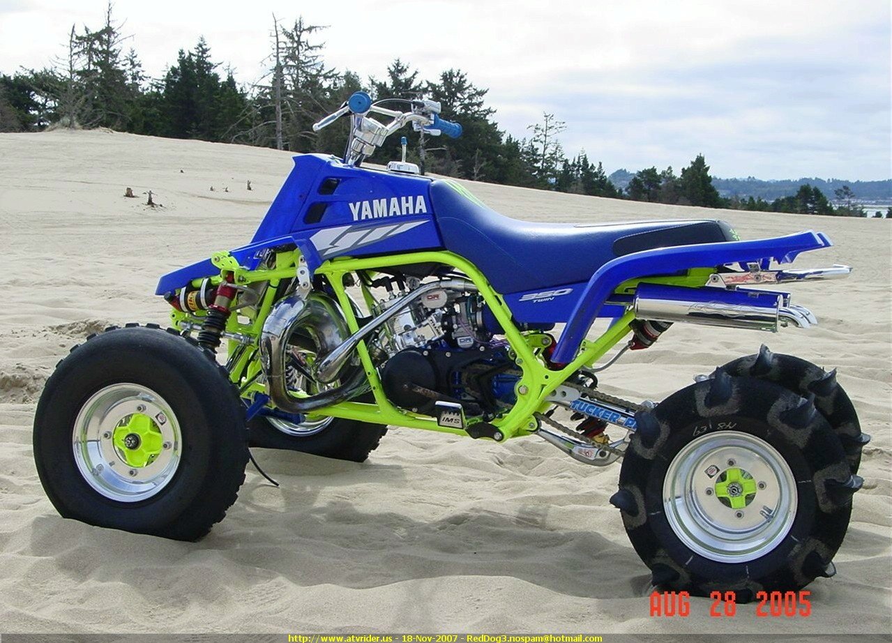 i love to ride and i live in nc my mom likes wwe.