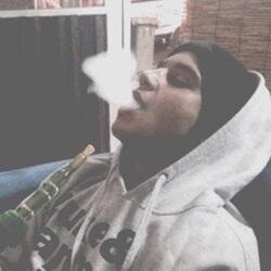 brooksjallgdr Profile Picture