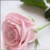 دانة تميم (@danh9090) Twitter profile photo دانة تميم (@danh9090) Twitter profile photo