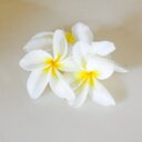 PATRICIA BUFFINGTON - @PB0202 - Twitter