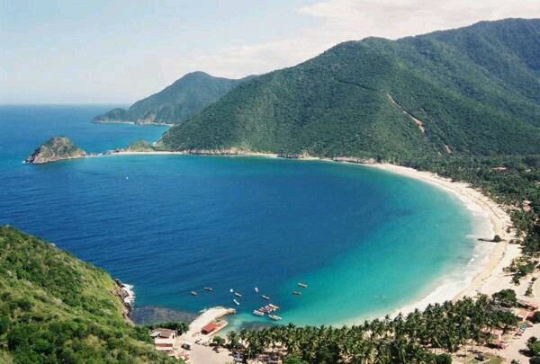 carola77ma's profile picture. 