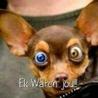 Huggiesgraad10s's profile picture. Enige iets wat jy wil deel met my drop 'n inbox en ek share dit!! ;)