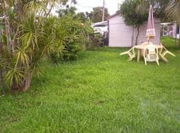 lalitho12345678's profile picture. 