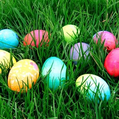 UNCC Easter Egg Hunt 1. Find an egg 2. Tag us at: @TheHuntIsOn2014 #TheHuntIsOn2014 3. Find the most eggs & WIN CHIPOTLE