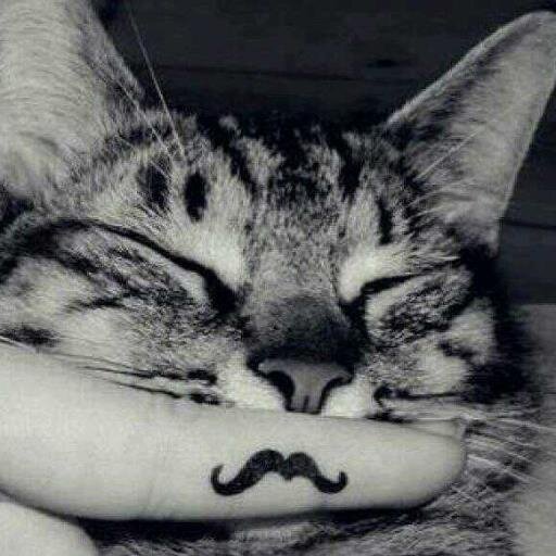 Following and retweeting pictures that inspire.