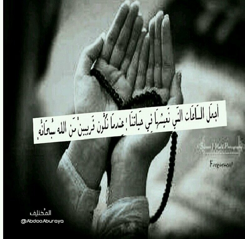 ‏‏‏أنا عاشقه اطبيعه وأنا ملكتها بالورد