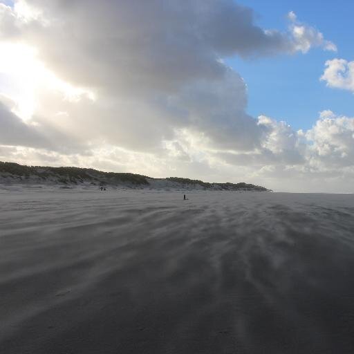 EYbema's profile picture. 