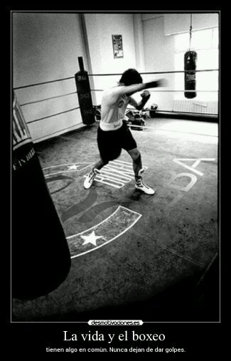 CarlosSelles's profile picture. Ingeniero Industrial. Rie cada vez mas alto, para dar un eco de felicidad a la vida...