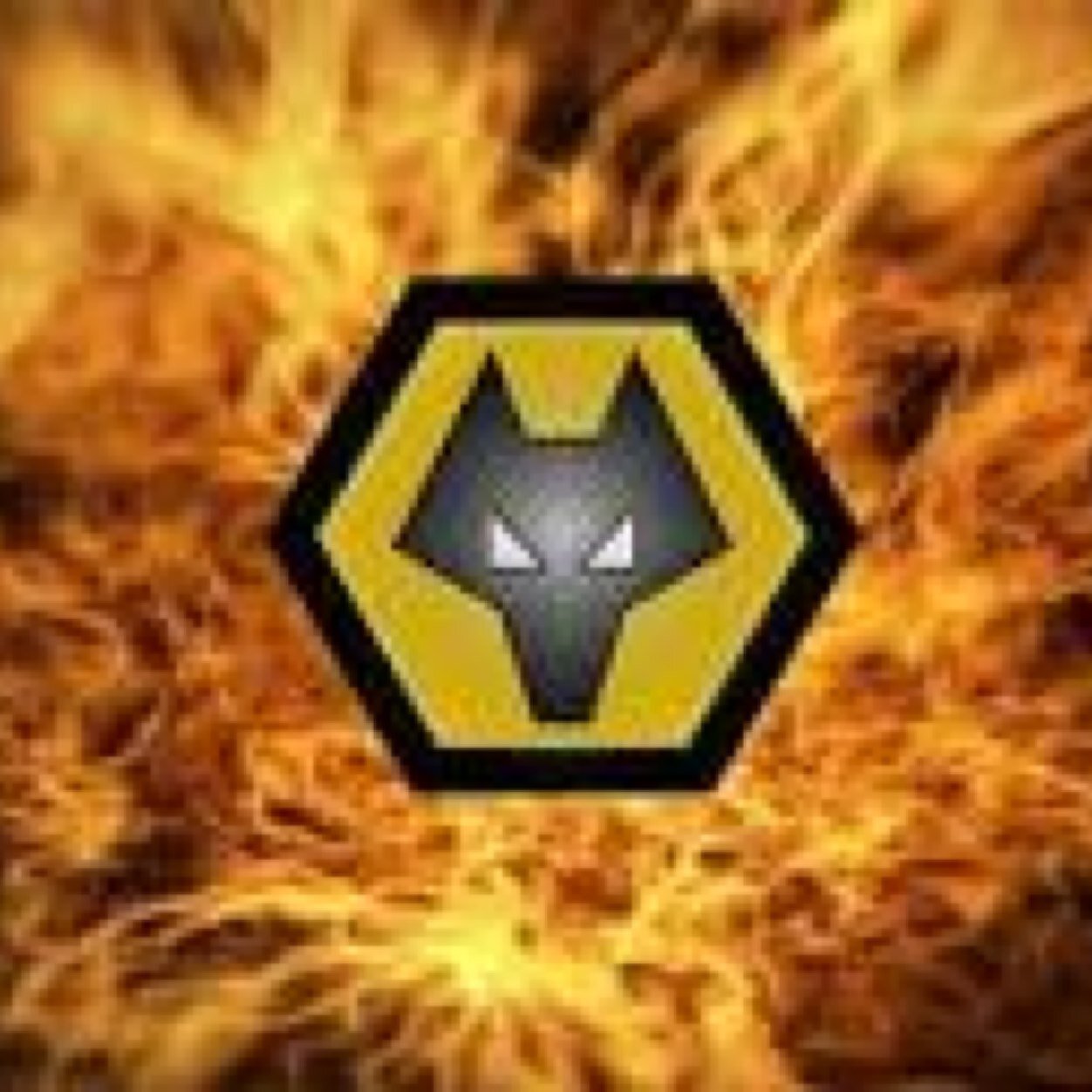 11, wolves