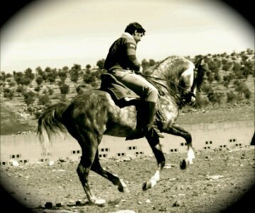 balado1990's profile picture. 