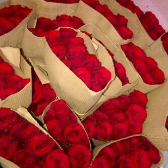 ‏جنتي في قلبي ، وقلبي بيد الله ..