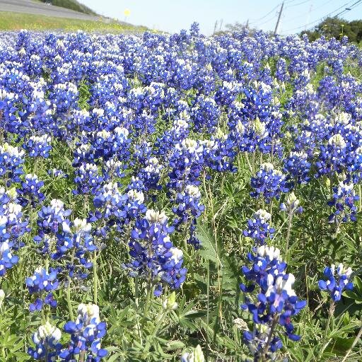 ejwteacher's profile picture. Wife, Mother, Teacher, Instructional Coach,  Technology Integration Specialist, Professor, Graduate student @ Duquesne, and so much more...