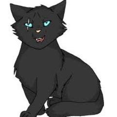 Old_Black_Cat Profile Picture