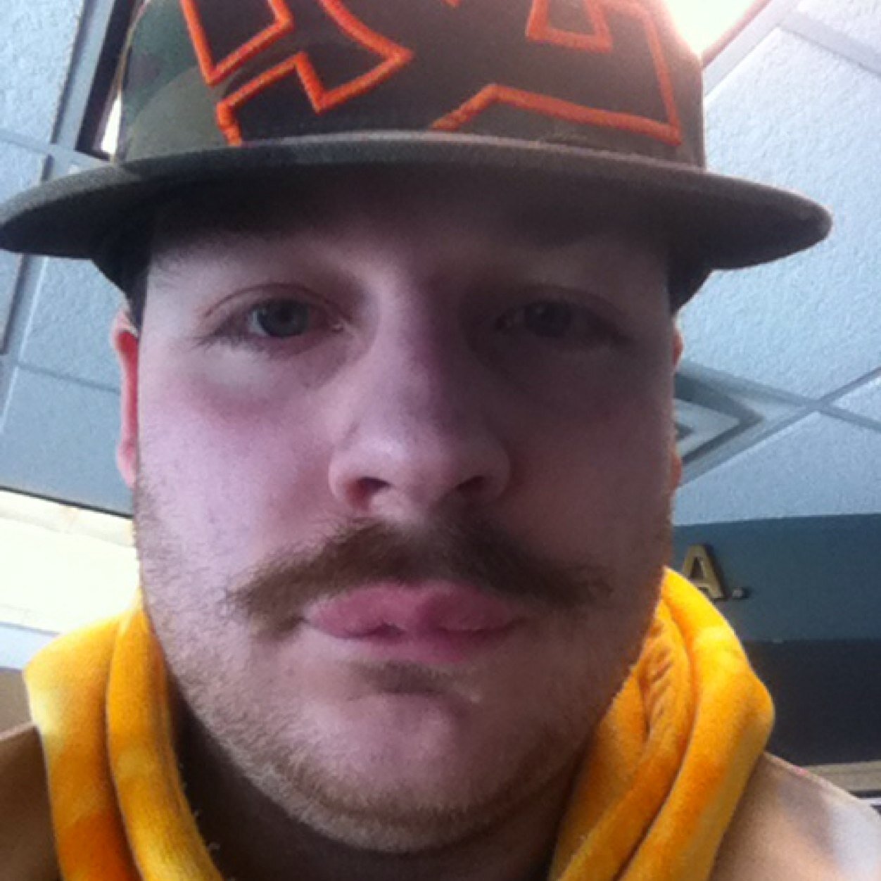 polarbearspad23's profile picture. 