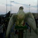 الاسمراني (@0531982111) Twitter
