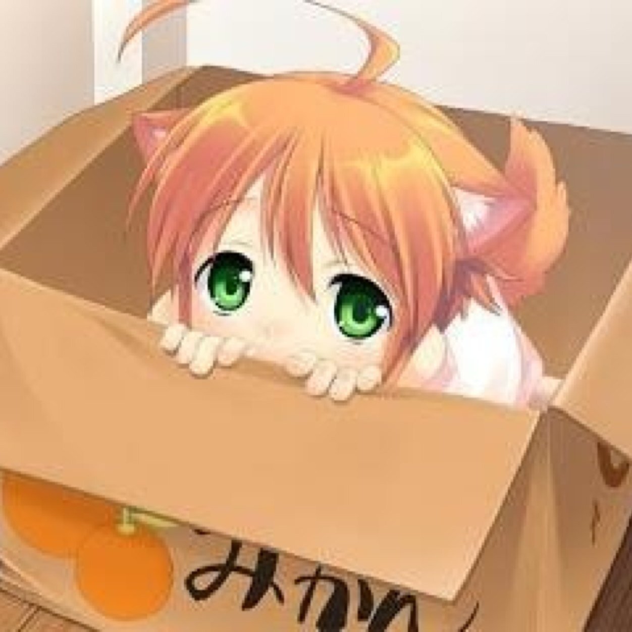 MadisonNeko's profile picture. I am 3 year old neko and I live with my mummy. I can transform into a cat ^^ #Witch #GetsScared Mummy: @TheLauryKitty