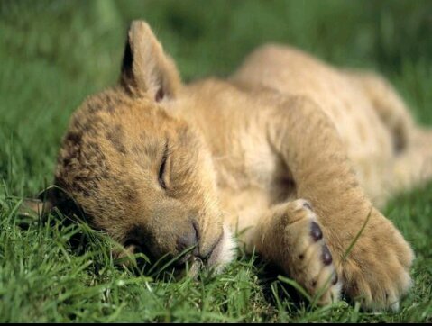 Mpuerto4's profile picture. 