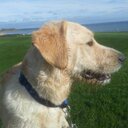 Duane Duffy - @sanddancergm - Twitter