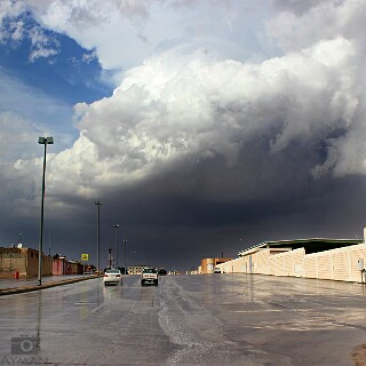 sss13157's profile picture. 