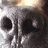 ducucosas's profile image