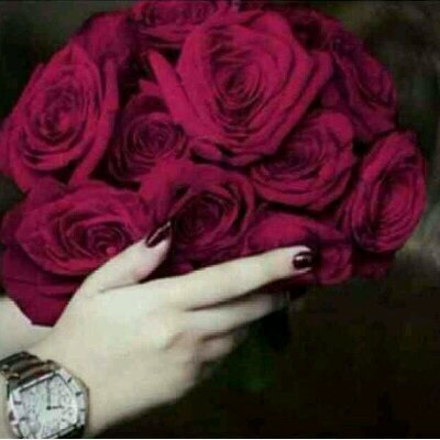 wejdan70382614's profile picture. 