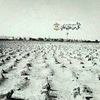 ‏‏ ‏اللهُـم لا تجعل ليـلة القدر ترحل وهو منسي من الجنه اللهُم اجعله ممن يقـال له هذه الجنه التي كنت بها تـدعو #تركي نشمي العنزي...