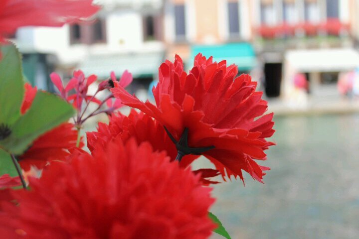 1Aeyy__'s profile picture. My tweets does not describe my personality