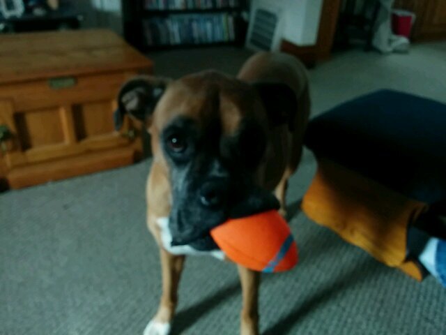 RobMaisy310310's profile picture. 