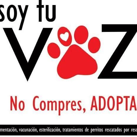 Rescatistas independientes que nos hemos unido para promover los animalitos recuperados y sus adopciones. 
Informes: adopcionessoytuvoz@gmail.com