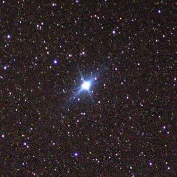 21anTSU's profile picture. 