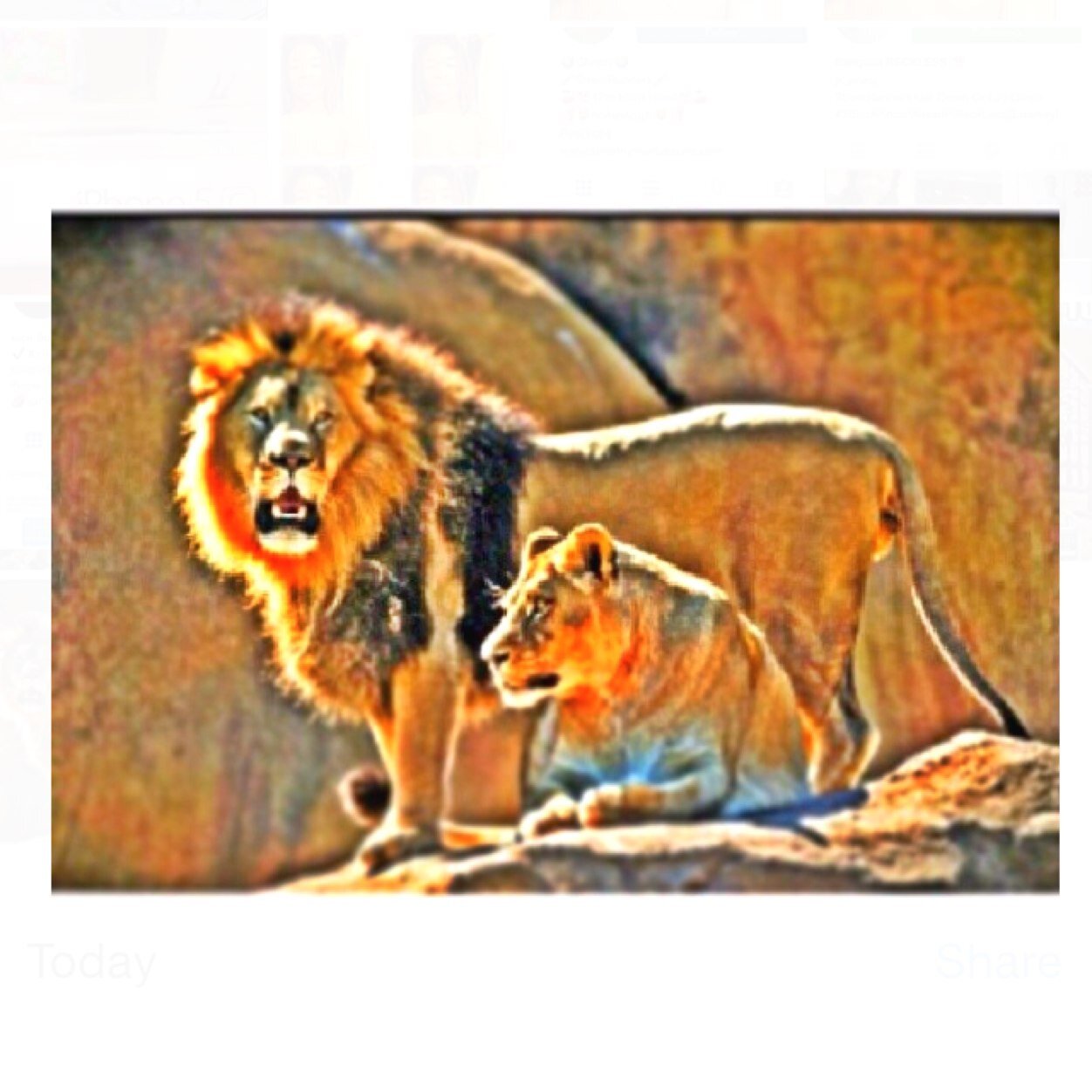 ᖇOᗩᗪ TO ᖇIᑕᕼEᔕ