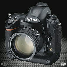 professional photographer