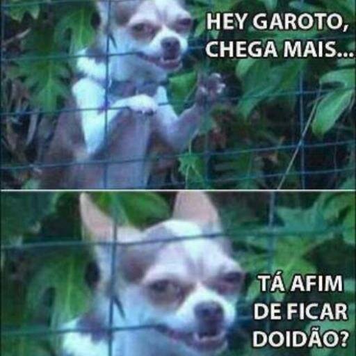 Aqw Ninja Capeta