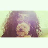 Melody  (@wakkabacca) 's Twitter Profile