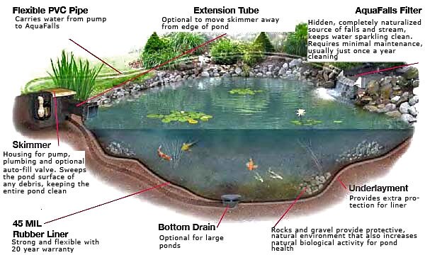 treetrunk999's profile picture. 