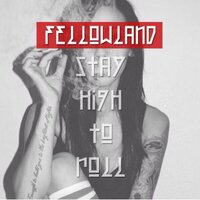 Fellowland Team & Co (@fellowlandco_) 's Twitter Profile