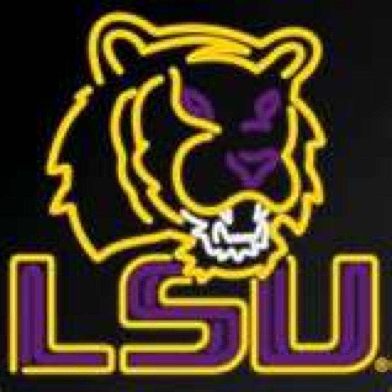 I am HAPPILY married. LSU Tigers, KISS, Houston Astros, Dallas Stars & Saints/Dolphins fan, love pro wrestling, 80’s metal & irritating the hell out of people.