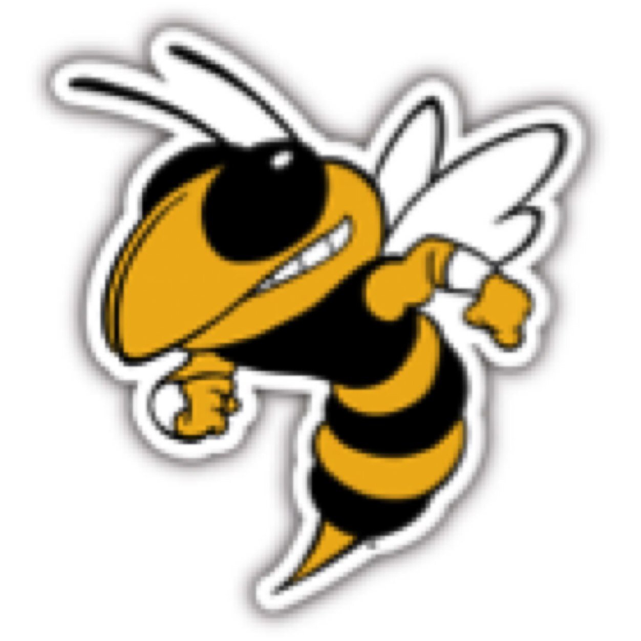 AmandlaHS's profile picture. 