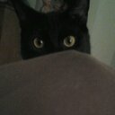 barb shaw - @barbshaw5 - Twitter