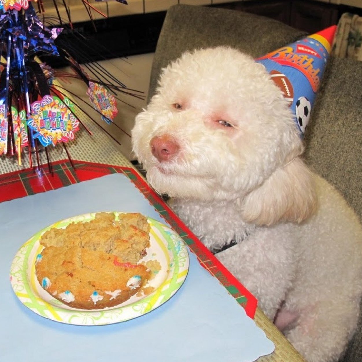 Chlv30's profile picture. 