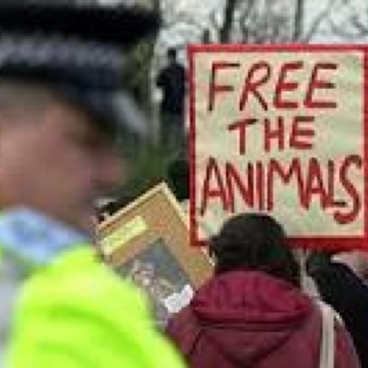 Help spread the word! Help to end product testing on animals! We love our animals! Tweet our hashtag: #SPTA
(Stop Product Testing on Animals)